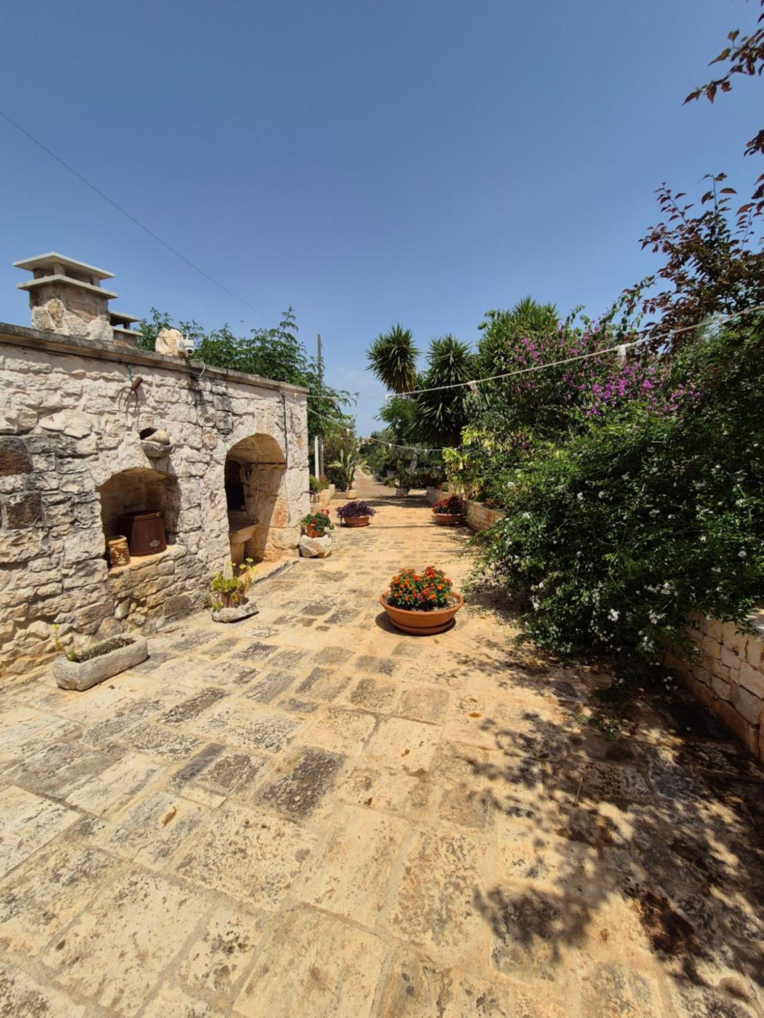 Il Trullo Di Nonna Lella Guest House Castellana Grotte Eksteriør bilde