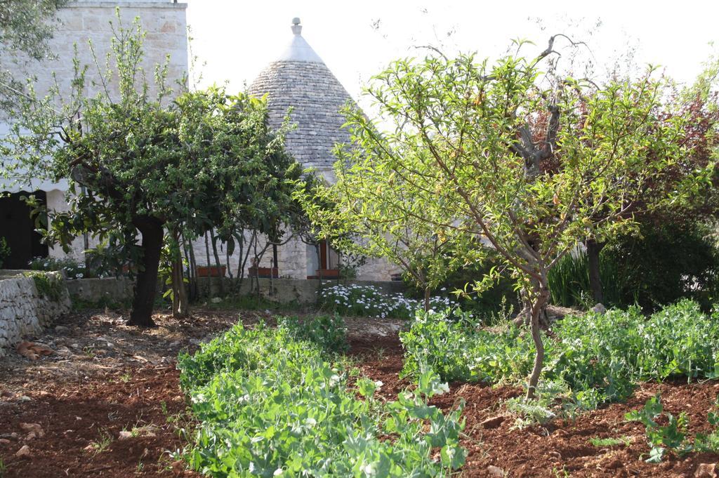 Il Trullo Di Nonna Lella Guest House Castellana Grotte Eksteriør bilde
