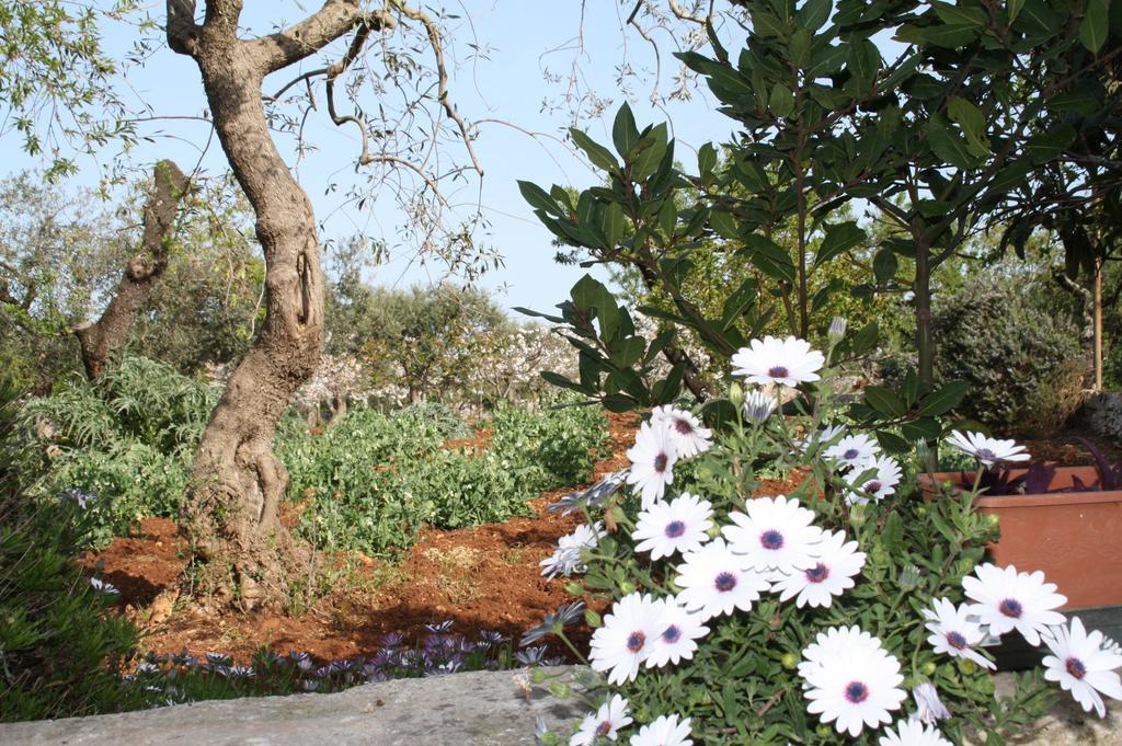 Il Trullo Di Nonna Lella Guest House Castellana Grotte Eksteriør bilde